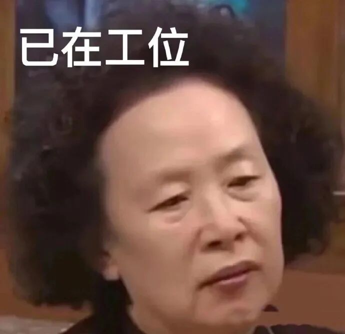 打工人专属表情包,已在工位-Netskao