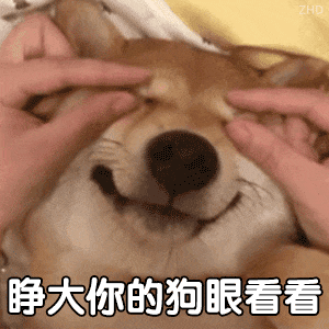 诤大你的狗眼看看两只手撑开狗狗眼睛,配文“睁大你的狗眼看看”的...